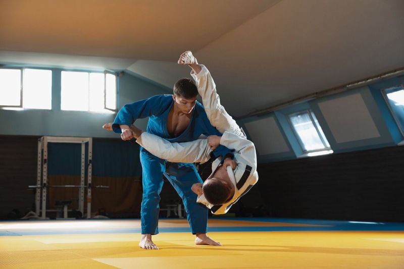 Top 10 Deadliest Martial Arts in the World.